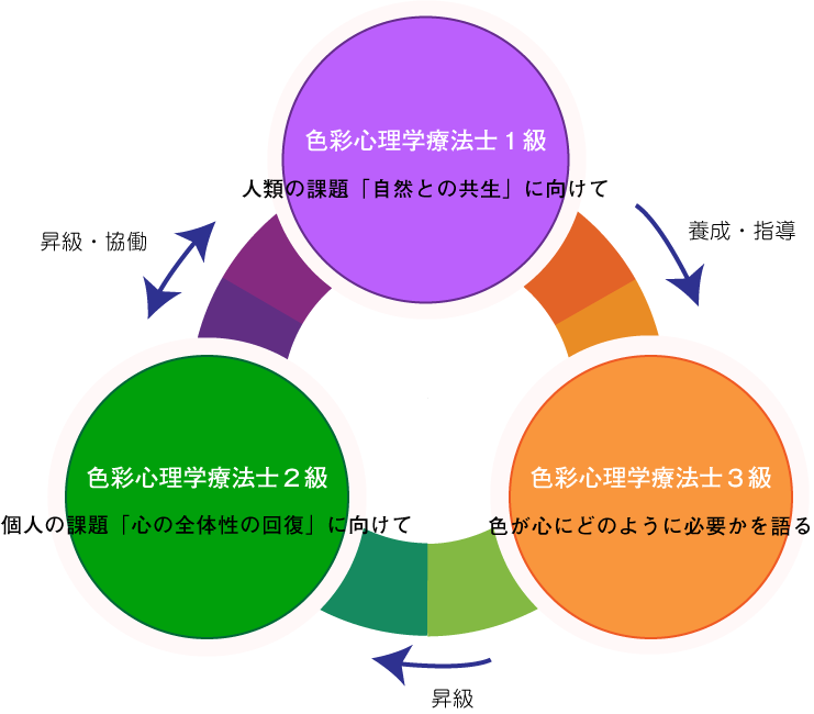 色彩心理学療法士資格の各級の相互関係