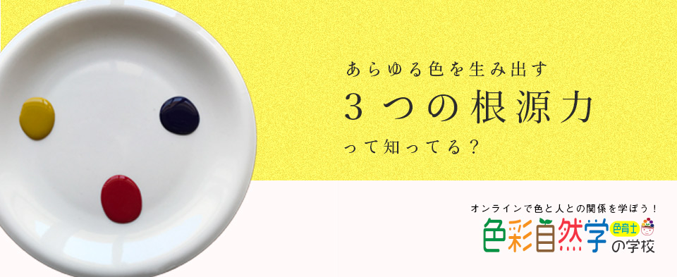 色育士になりたい方は必見！色彩環理論（心の３原色理論）講座を学ぼう！